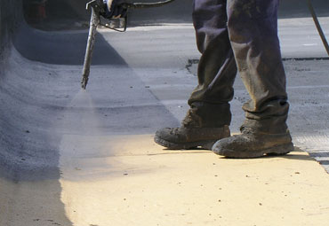 coating systems over Raleigh spray foam roof systems